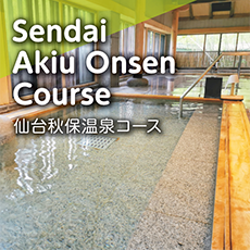 Onsen & Nature Tour