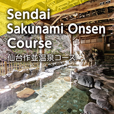 Red & Yellow Leaves Tour